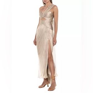 Maria Lucia Hohan Gown